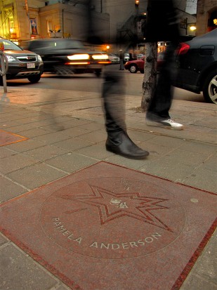 pamela anderson, canada's walk of fame, plaque, sidewalk, concrete, entertainment district, king street west, toronto, city, life